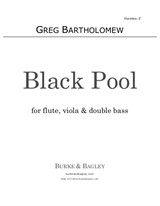 Black Pool for flute, viola & double bass