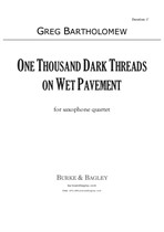 One Thousand Dark Threads on Wet Pavement