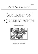 Sunlight on Quaking Aspen
